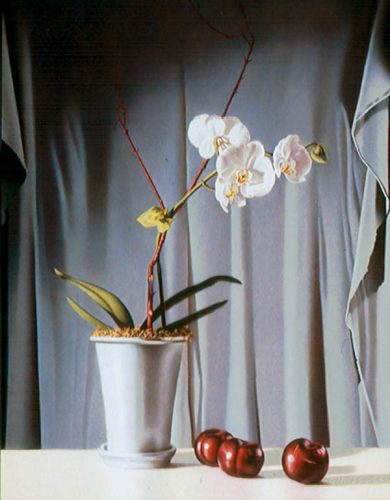 Plums and Orchid